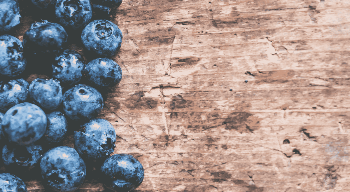 Ultimate Guide to FreezeDrying Blueberries Stay Fresh Freeze Dryer