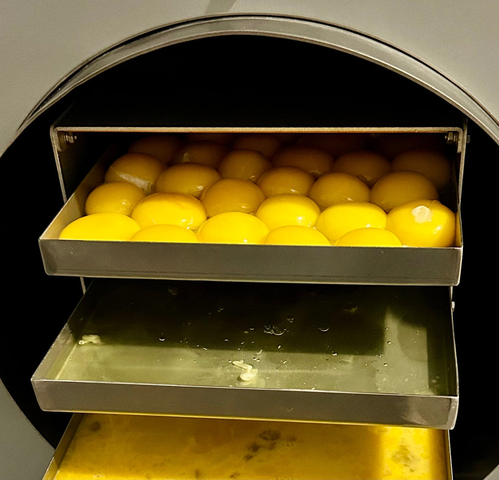 Freeze Dry Eggs: A Long-Term Storage Solution