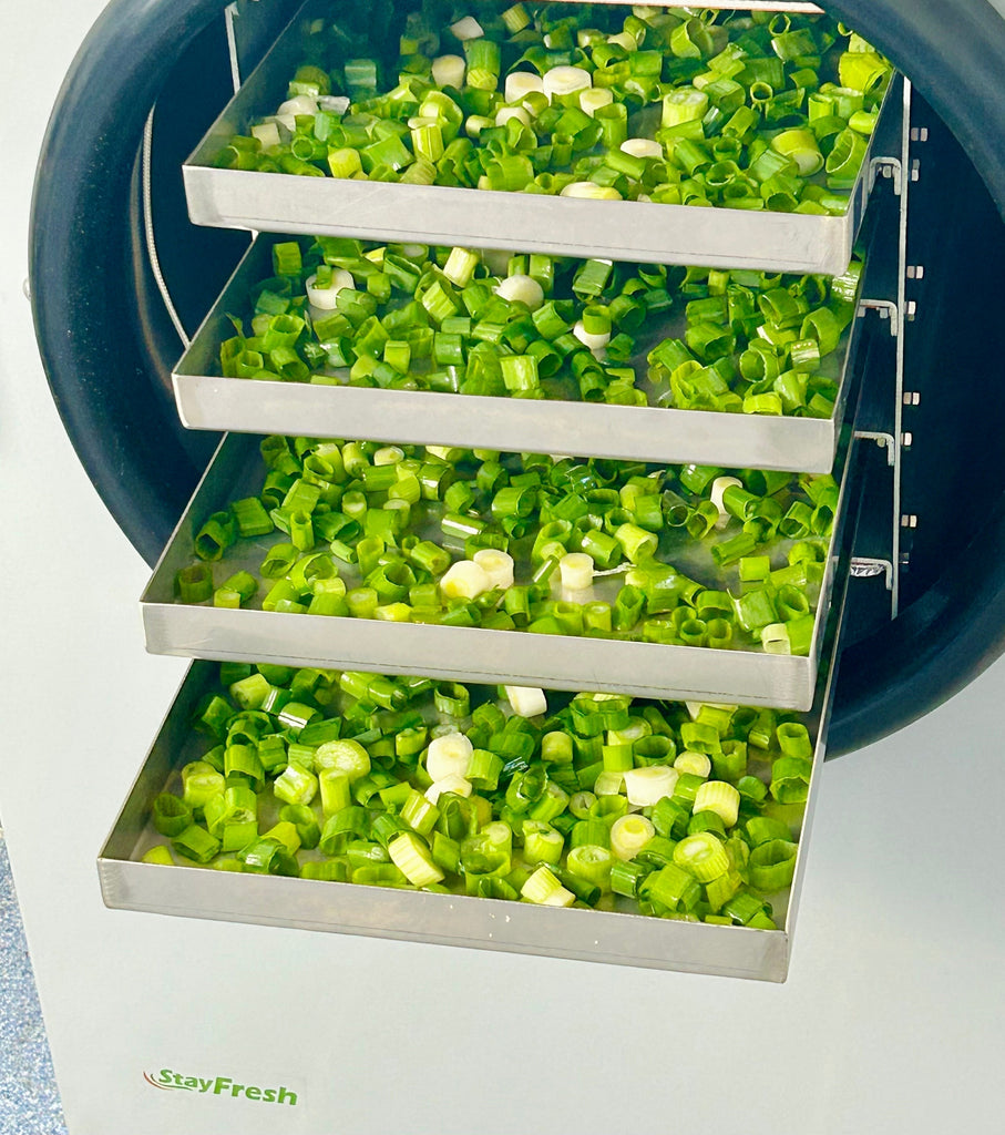 Freeze Drying Green Onion – Easy, Fresh, and Long-Lasting