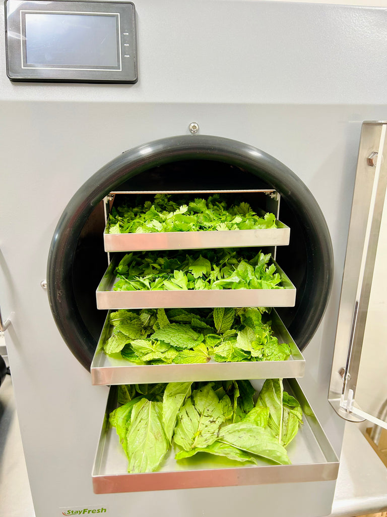 Automated Cycle 7: Freeze-Drying Herbs